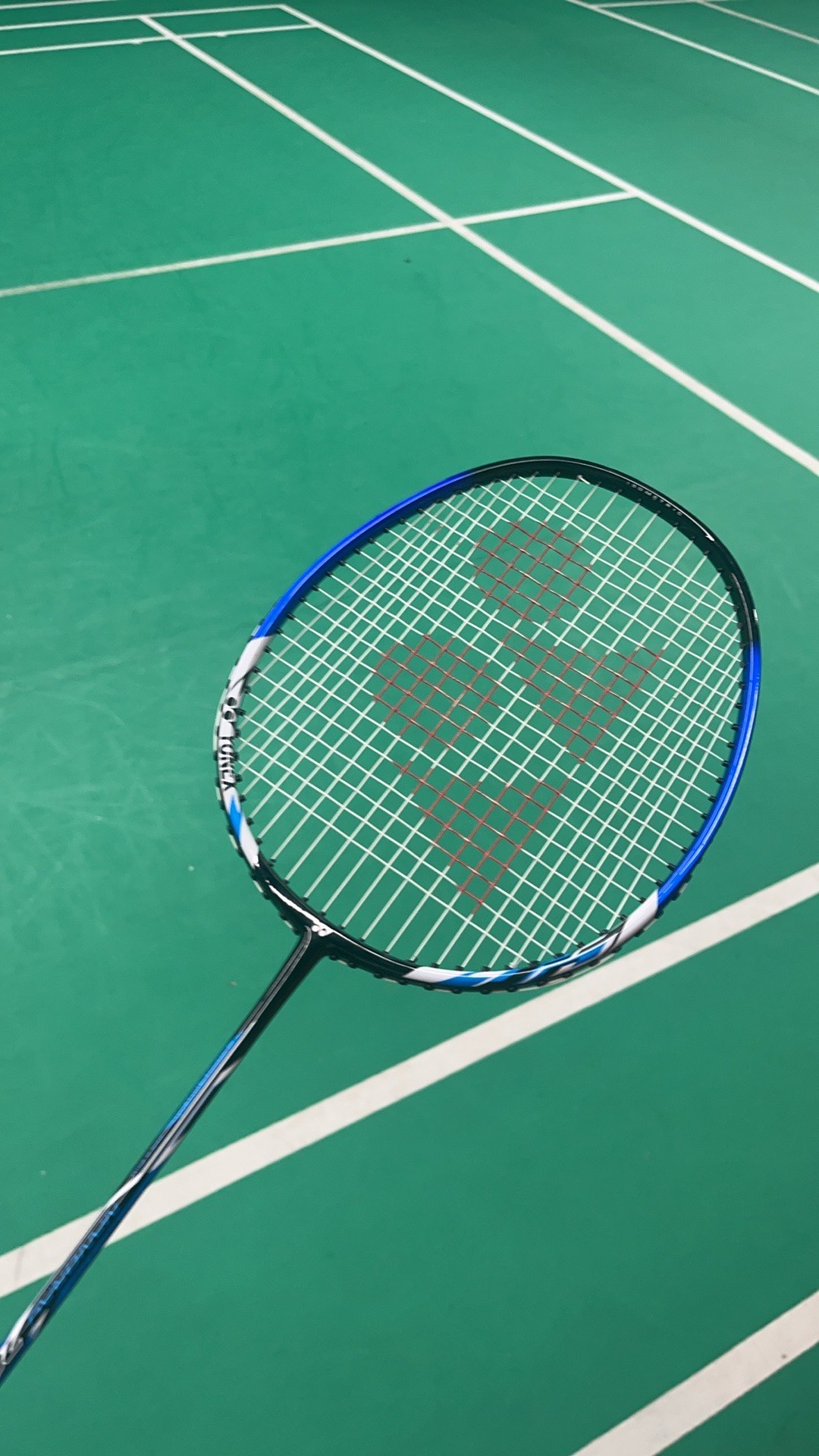 智慧的较量 智慧的较量